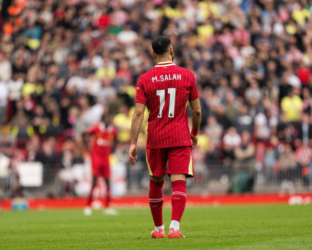 布莱顿的比 布莱顿的比